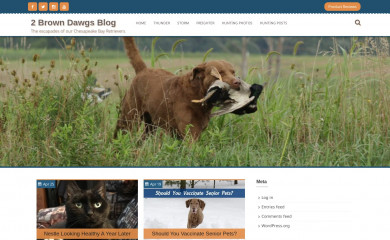 2browndawgs.com screenshot
