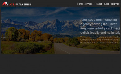 acesmarketing.com screenshot
