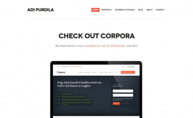 adipurdila.com screenshot
