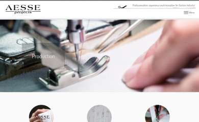 aesseprojects.com screenshot