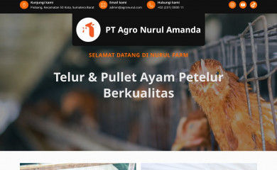 agronurul.com screenshot
