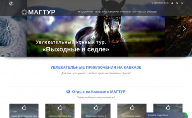 akademiya-gornih-turov.ru screenshot