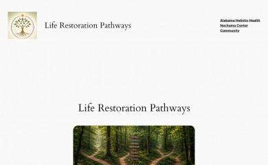 alhhacademy.com screenshot