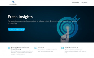 alterinsights.com screenshot