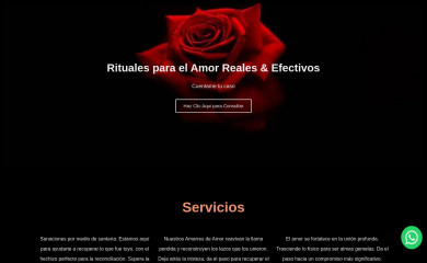 amarresdeamorprofesionales.com screenshot