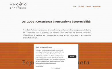 amodioepartners.it screenshot