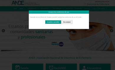 ande.org screenshot