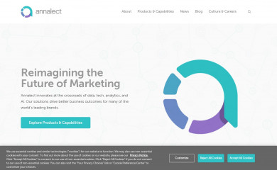annalect.com screenshot