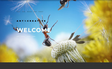 antcreative.com.au screenshot