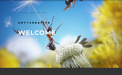 antcreative.com.au screenshot