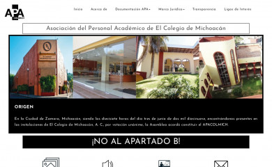 apacolmich.com screenshot