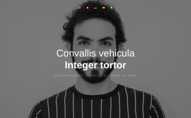 arafashion.ro screenshot