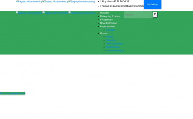 bagterpmurer.dk screenshot