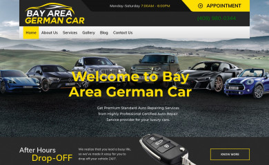 bayareagermancar.com screenshot