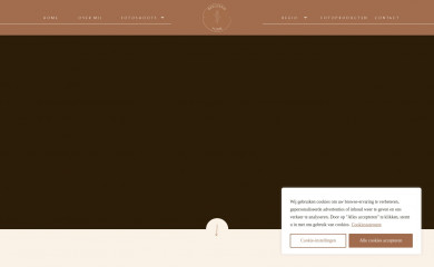beeldendfloor.nl screenshot