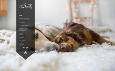 bestbuddydierenfotografie.nl screenshot