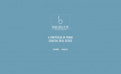 bigblueholding.com screenshot