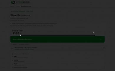 biznesbuzzer.com screenshot