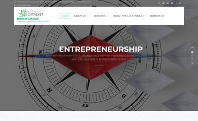 biznestcatalyst.com screenshot