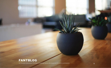 bjornfant.se screenshot