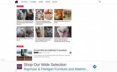 bloginfo.info screenshot