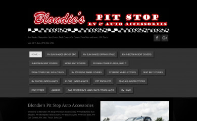 blondiespitstop.com screenshot