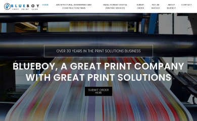 blueboyimaging.com screenshot