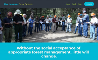 bluemountainsforestpartners.org screenshot