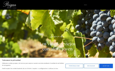 bodegaspeique.com screenshot