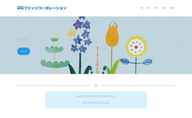 bridge-co.com screenshot