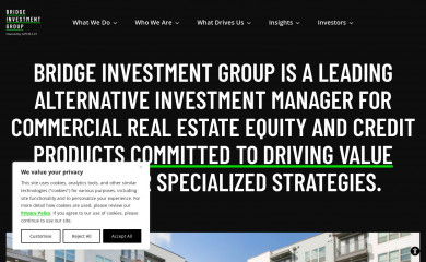 bridgeig.com screenshot