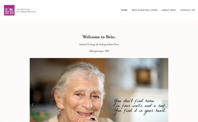 brioliving.org screenshot