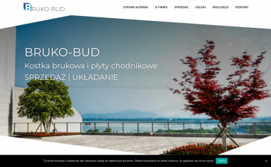 bruko-bud.com screenshot
