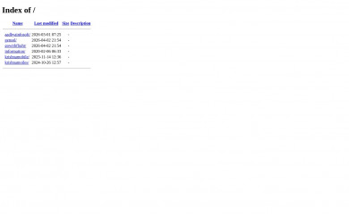bugfixers.co.in screenshot