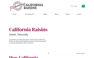 caraisins.com screenshot
