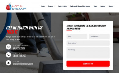 carpetcleaningauckland.co.nz screenshot