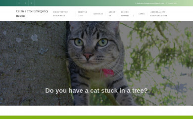 catinatreerescue.com screenshot