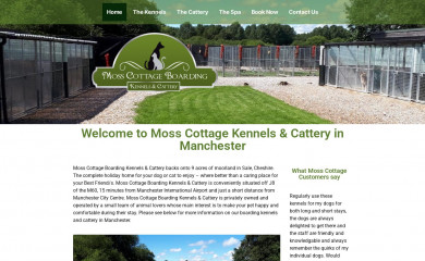 catteryinmanchester.co.uk screenshot