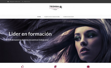 cem-tedisa.com screenshot