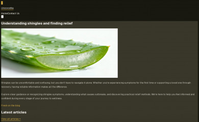 cincovodka.com screenshot