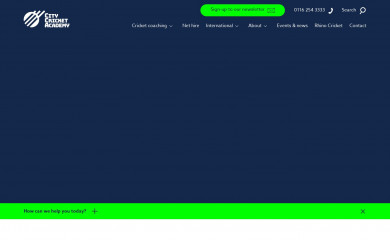 citycricketacademy.co.uk screenshot