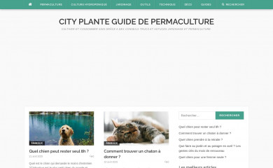 cityplante.com screenshot