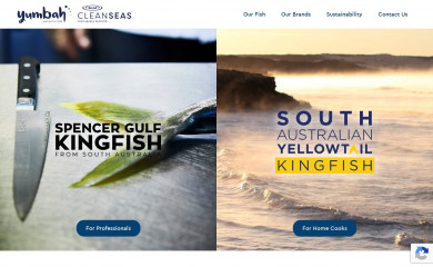 cleanseas.com.au screenshot