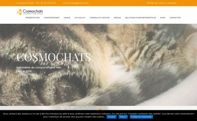 cosmochats.com screenshot