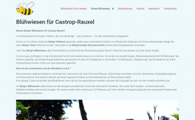 cr-bluehwiese.de screenshot