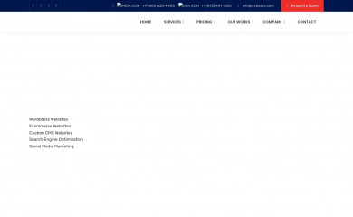 cybosys.com screenshot