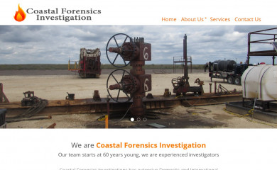 dansfire.com screenshot