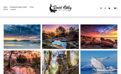 davidashleyphotos.com screenshot