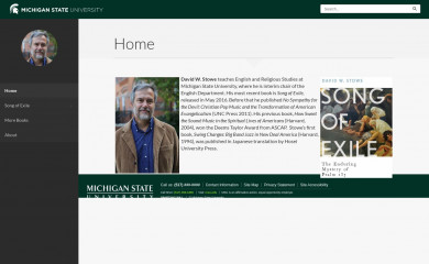 davidwstowe.com screenshot