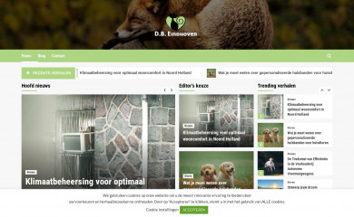 dbeindhoven.nl screenshot